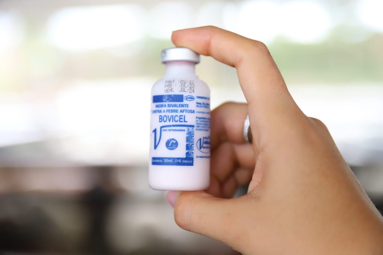 Febre aftosa: Produtores têm até o dia 30 de abril para comprar a vacina, alerta Adaf 