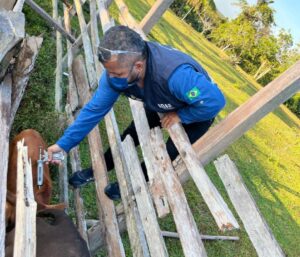 Imagem da notícia - Adaf adia obrigatoriedade de vacinação contra a raiva em Apuí