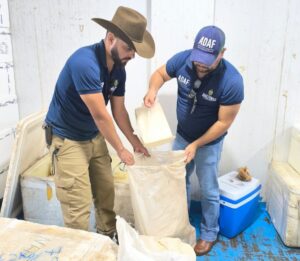 Imagem da notícia - Em Parintins, Adaf apreende mais de 300 quilos de queijo de coalho e mariscos impróprios para o consumo