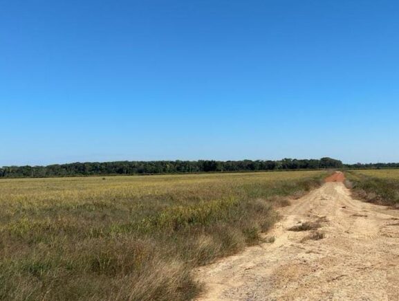 Adaf alerta agricultores sobre o encerramento do Vazio Sanitário da Soja e início do calendário de semeadura