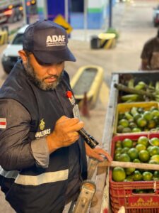 Imagem da notícia - Adaf apreende mais de quatro toneladas de frutas com irregularidades escondidas em carregamento de madeira