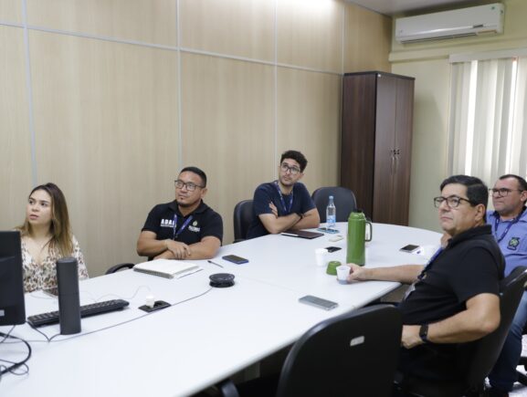 Servidores da Adaf recebem treinamento on-line acerca da praga Vassoura-de-Bruxa da Mandioca