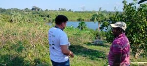 Imagem da notícia - Dia da Agricultura: adoção de boas práticas no cultivo garante sanidade vegetal, alerta Adaf