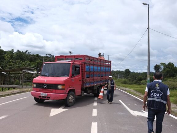 Após desativação de barreiras de vigilância, Adaf abre concurso para remoção interna de servidores