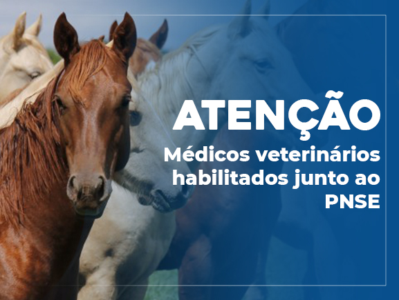 PNSE: Médicos Veterinários têm até 6 de novembro para enviar documentos referentes às atividades desenvolvidas