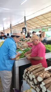 Imagem da notícia - Mosca-da-carambola: Adaf percorre feiras e propriedades para alertar a população sobre proibição de transporte de frutos