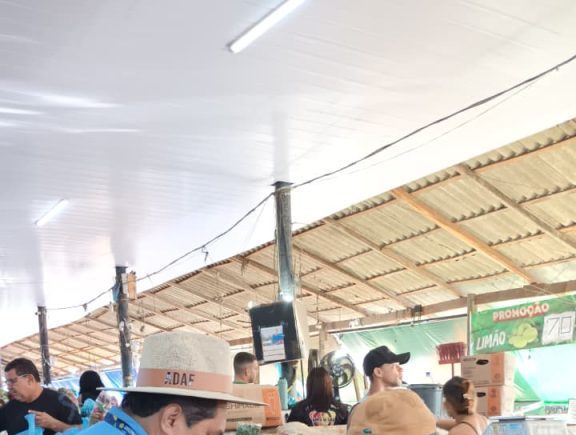 Mosca-da-carambola: Adaf percorre feiras e propriedades para alertar a população sobre proibição de transporte de frutos