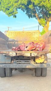 Operação apreende cerca de 3 toneladas de carne impróprias para consumo em Nhamundá
